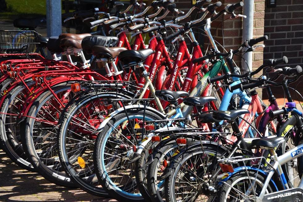 Beloved Bicycle Shop with Growth Potential 